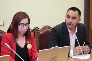 Director Nicolás Hurtado expone ante la Comisión de Gobierno Interior de la Cámara.